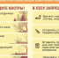 Жители Раменского городского округа, соблюдайте правила пожарной безопасности в лесах - Газета Родник