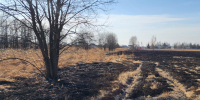 Пожарные оперативно потушили огонь в поле после падения беспилотника в Раменском - Regions.Ru