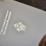 Глава СК затребовал доклад по делу о нарушении прав жителей д. Рыбаки - Regions.Ru