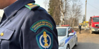 В Раменском округе провели рейд против мусорщиков-нелегалов - Regions.Ru