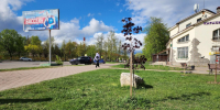 На Аллее приборостроителей высадили десять кленов в честь 80-летия Великой Победы - Regions.Ru