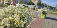 Адская жара +35°C будет держаться в Подмосковье долго и побет температурный рекорд - Regions.Ru