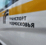 В Раменском увеличили количество автобусов на популярных маршрутах - Regions.Ru