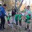 День в лесу. Сохраним лес вместе - Раменское телевидение
