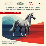 Лучшие орловские рысаки примут участие в чемпионате России в Раменском 26 сентября 2025 г.
