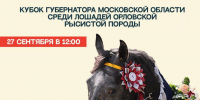 Лучшие рысаки России посоревнуются на Кубке Губернатора Подмосковья в Раменском 27 сентября 2025 г. - Раменское телевидение