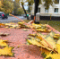 Погода в Раменском 27 октября 2025: дождь и +9°C - Regions.Ru