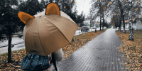Осенний камбэк: тепло вернется в Москву и Подмосковье с этой даты - Regions.Ru